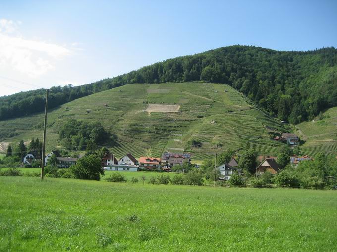 Weinlage Roter Bur