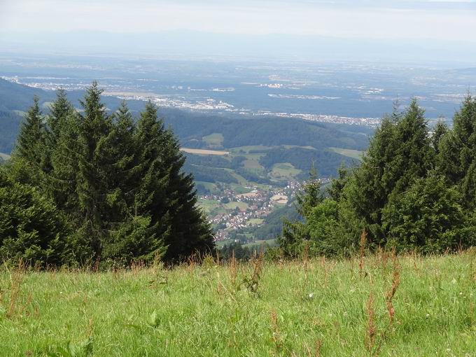 Gummenwald Kandel: Blick Glottertal