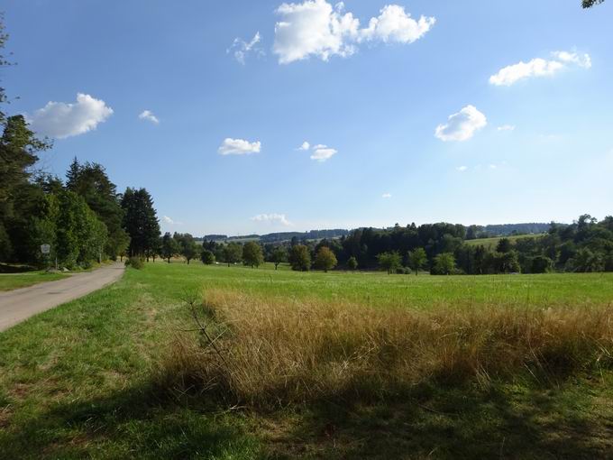 Schlchtsee Grafenhausen: Ausblick Parkplatz