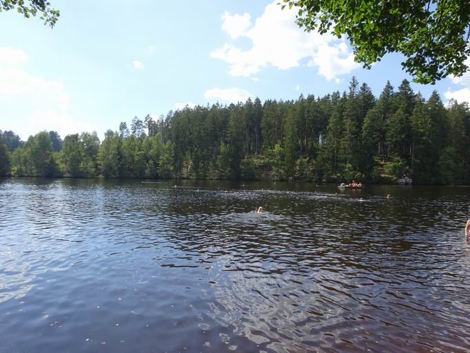 Schlchtsee Grafenhausen: Westufer