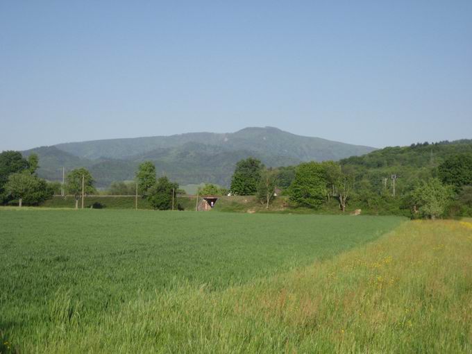 Gner Weg: Kandelblick