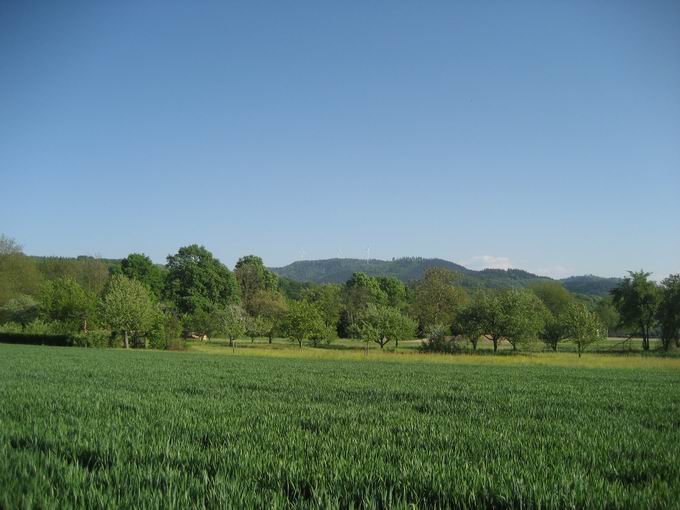 Grner Weg: Blick Rosskopf