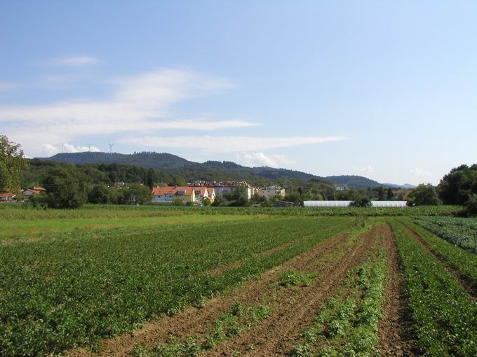 Gundelfingen im Breisgau