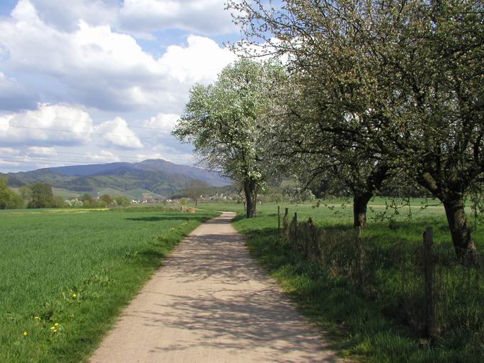 Gundelfingen im Breisgau