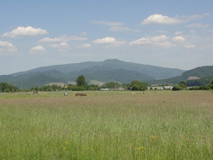 Gundelfingen im Breisgau