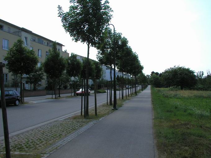 Gundelfingen im Breisgau