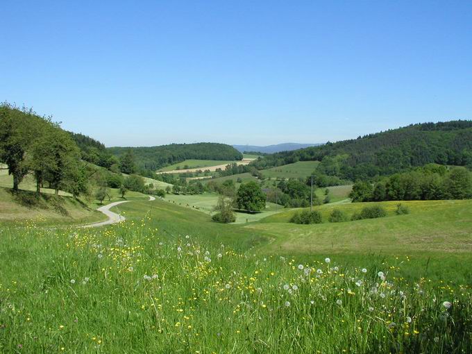 Waldbrunnertal Wildtal