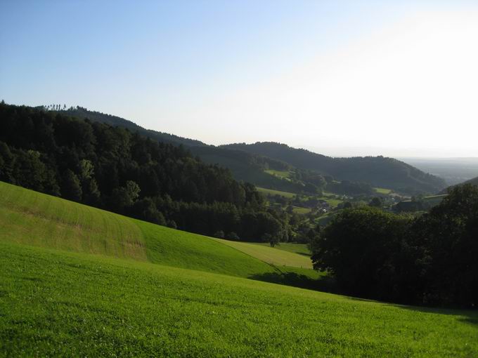 Schwarzwald