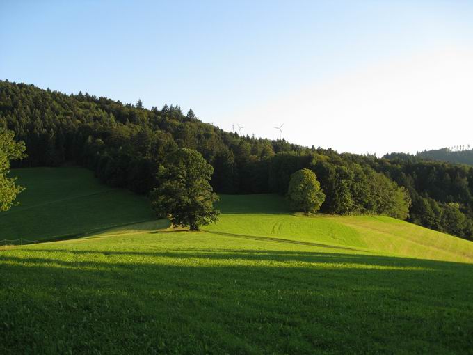 Rosskopf bei Freiburg