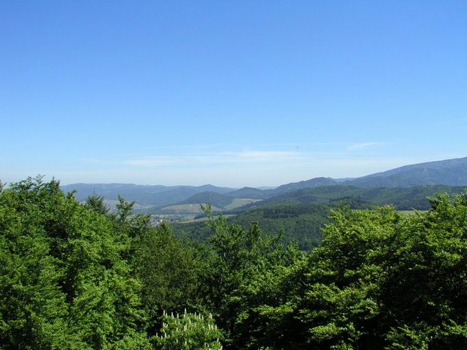 Zhringer Burg: Blick Einbollen