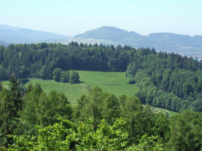 Zhringer Burg: Blick Reutebacher Hfe