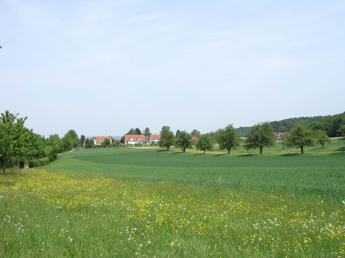 Zhringer Weg beim Litzfirst