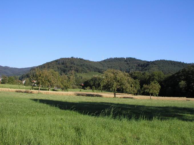 Gundelfingen im Breisgau