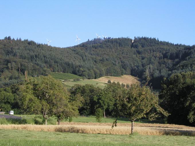 Zhringer Weg: Blick Zhringer Burg