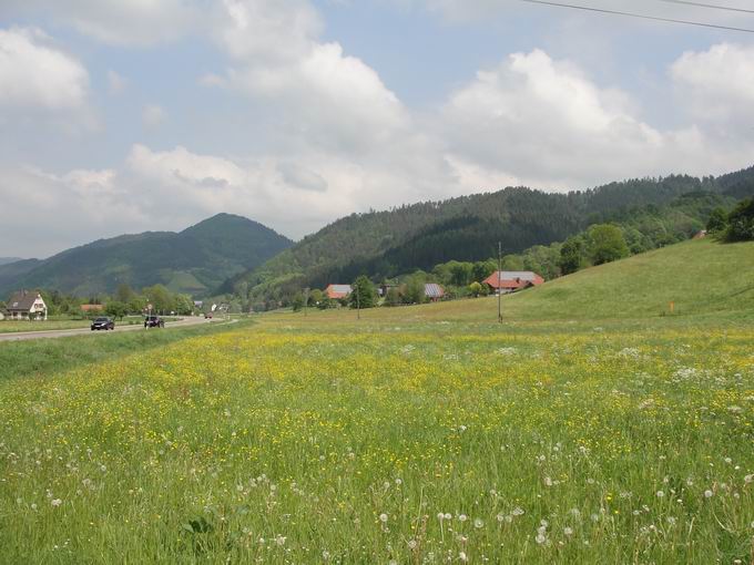 Am Bhl: Blick Hauptstrae Gutach