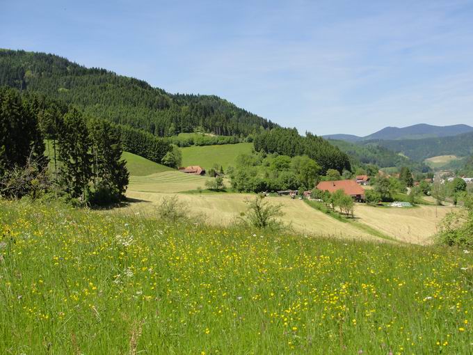 Gutach (Schwarzwaldbahn) 