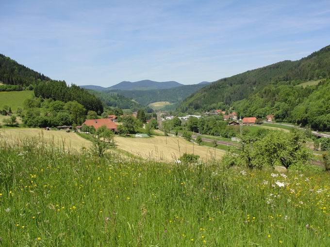 Herrenbach: Blick Gutachtal