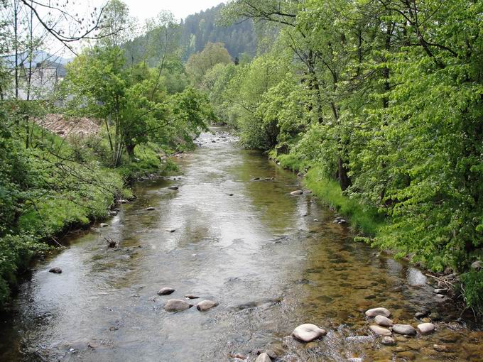 Kluserbrcke Gutach: Sdblick