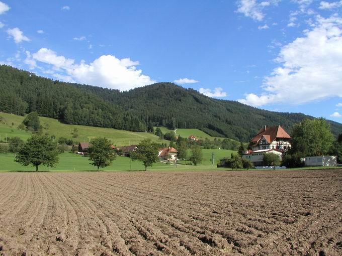 Gutach (Schwarzwaldbahn) 