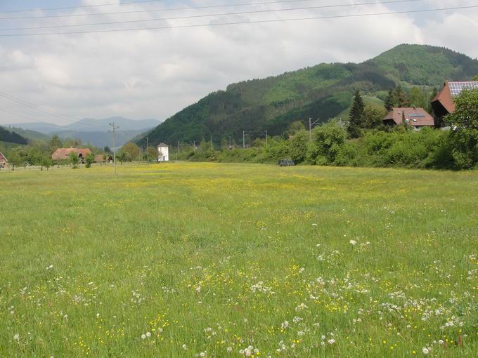 Ramsbachweg Gutach: Nordblick