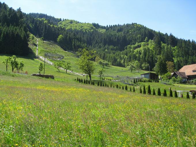 Rodelbahn Gutach: Landschaft