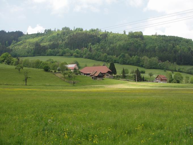 Gutach (Schwarzwaldbahn) 