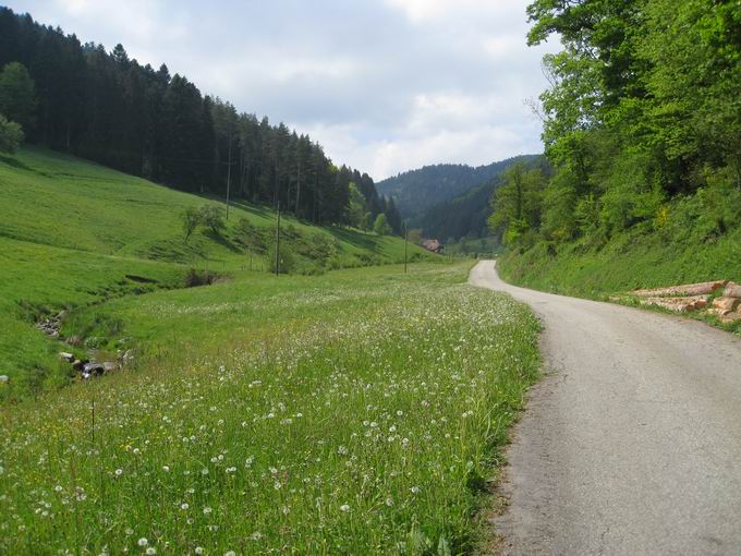 Oberes Steinenbachtal