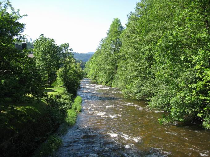 Whlerbrcke: Fluss Gutach Nordblick