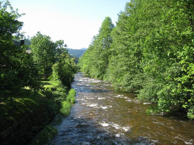 Wählerbrücke: Fluss Gutach Nordblick