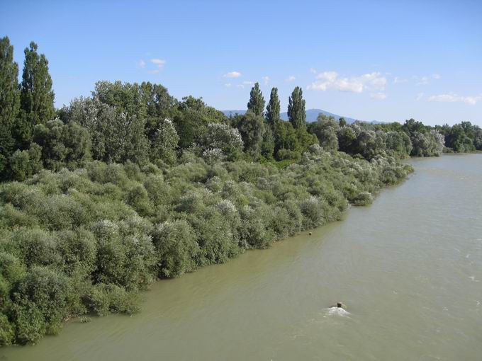 Rheinufer Hardtbrücke Erich Dilger