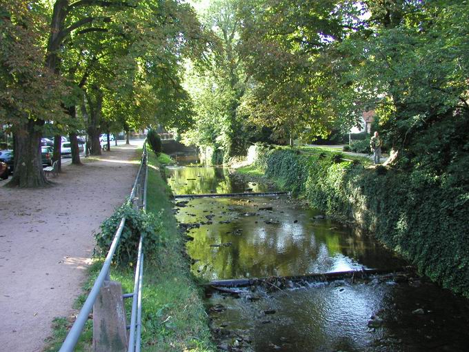 Haslach im Kinzigtal