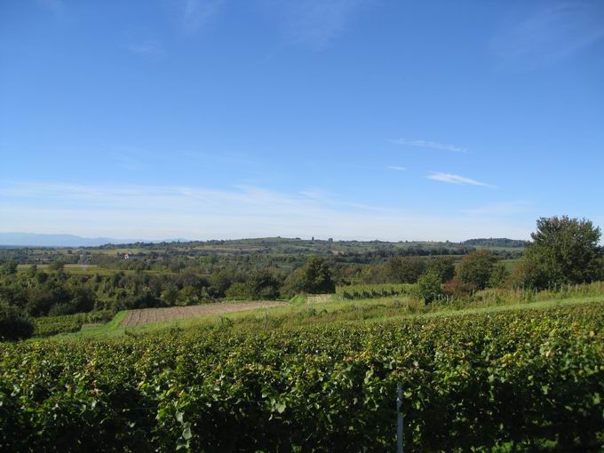 Bleichheim: Blick Tutschfelden