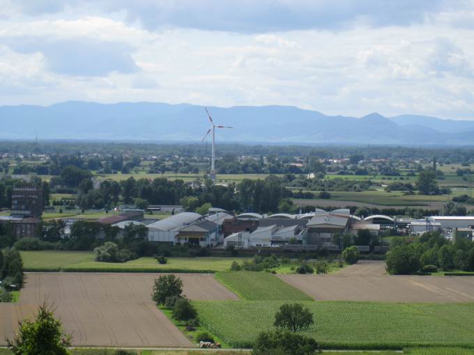 Gewerbegebiet Stockfeld Herbolzheim: Ostansicht