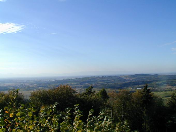 Kirnburg: Blick Herbolzheim