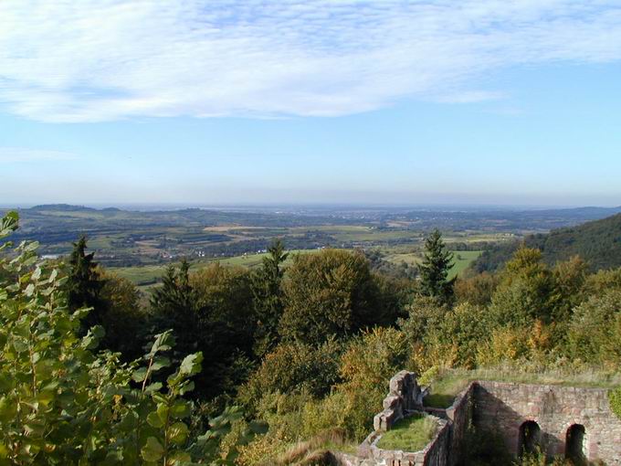 Kirnburg: Nordblick