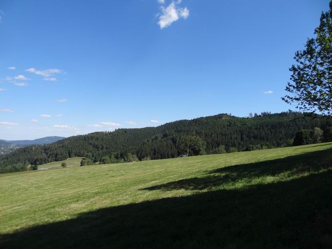 Bistenkopf (1115m)