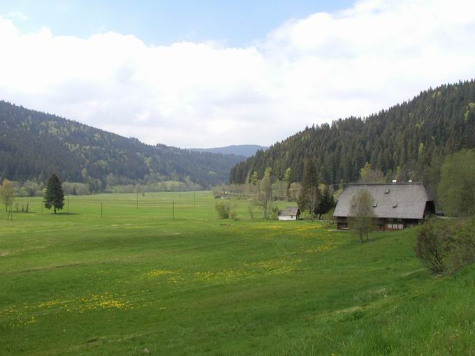 Hochschwarzwald