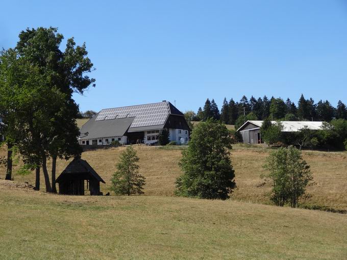 Hinterzarten 