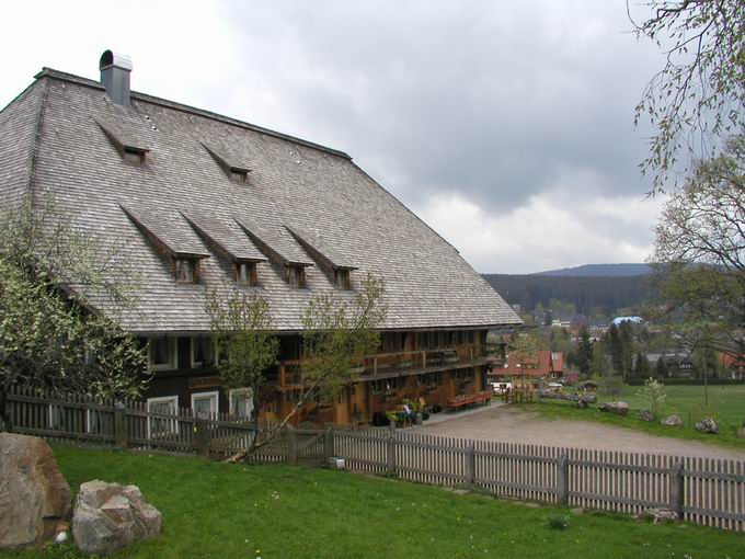 Hfe in Hinterzarten