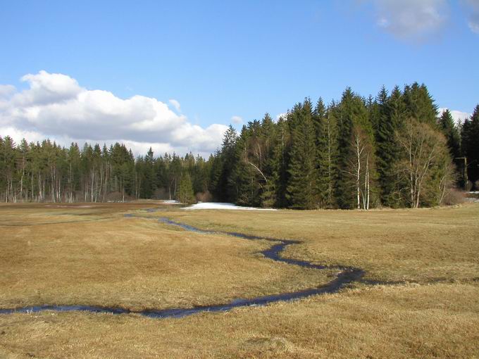 Hinterzarten 