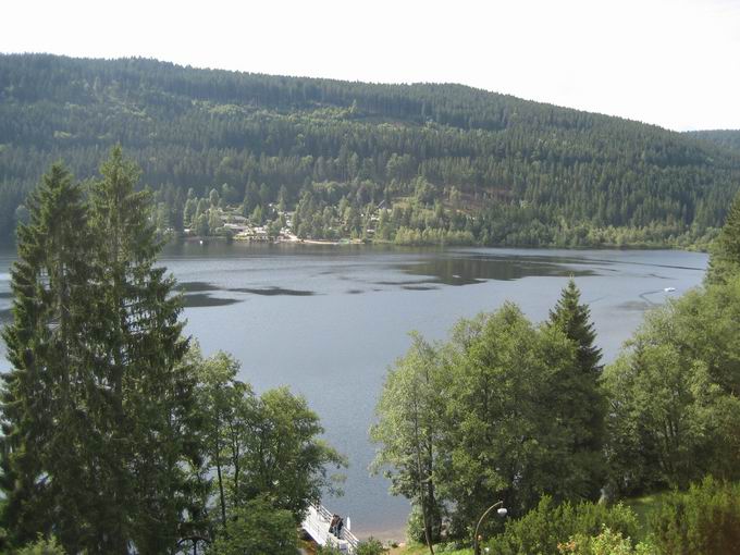 Alemannenhof Titisee: Seehusle