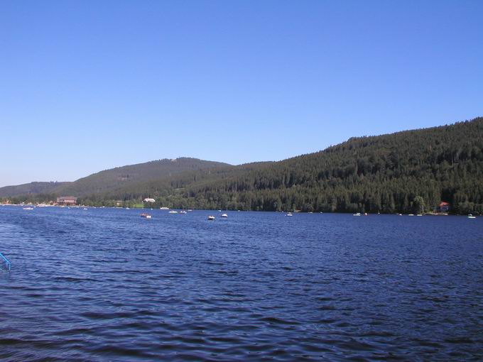 Alemannenhof Titisee: Blick Titisee & Hochfirst
