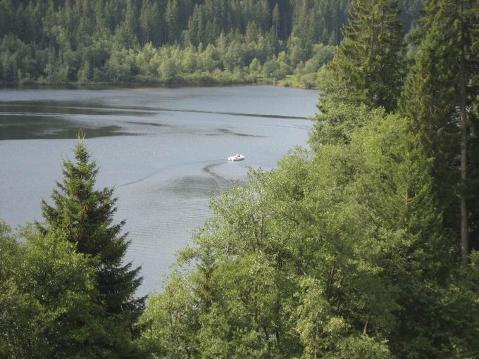 Alemannenhof Titisee: Sdufer Titisee