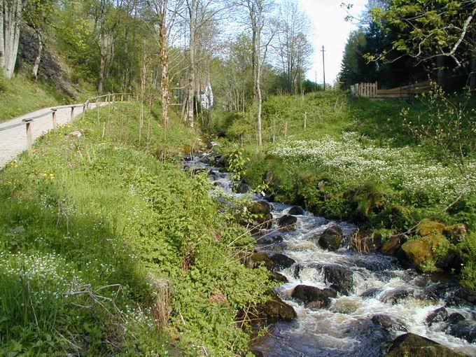 Hinterzarten 