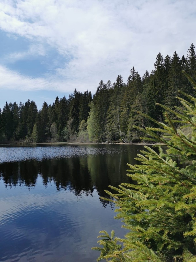 Mathisleweiher Hinterzarten