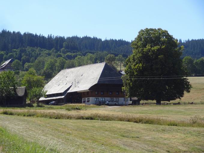 Hinterzarten 