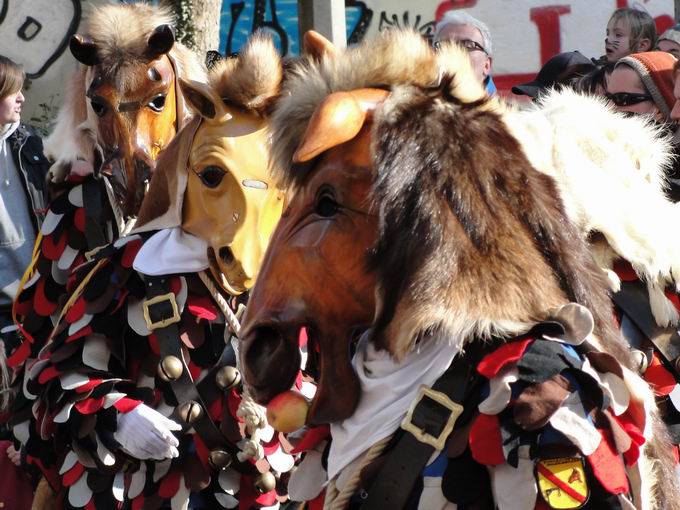 Narrenzunft Galgenrsser Selgetsweiler