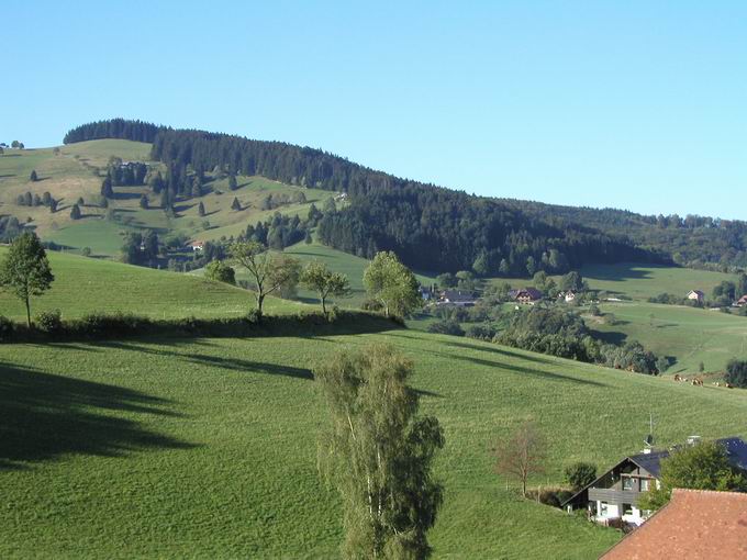 Horben: Blick Katzentalweg