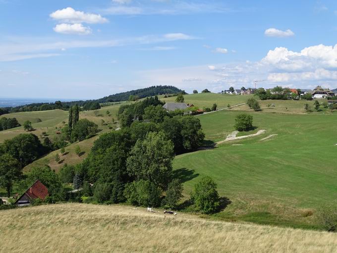 Katzentalweg Horben: Hansmartihof