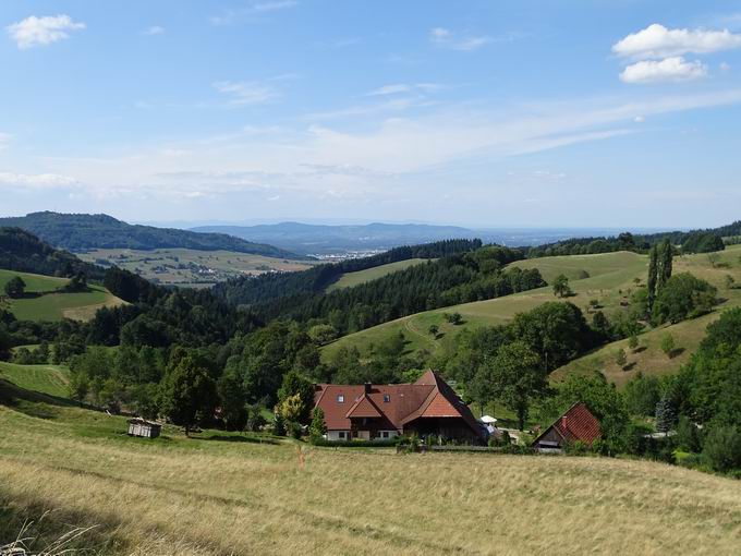 Katzentalweg Horben: Kaiserstuhl